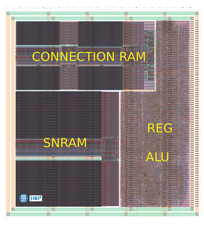 nanoHEENS_PE_text_cropped.png