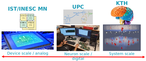 Multiscale neuromorphic processing